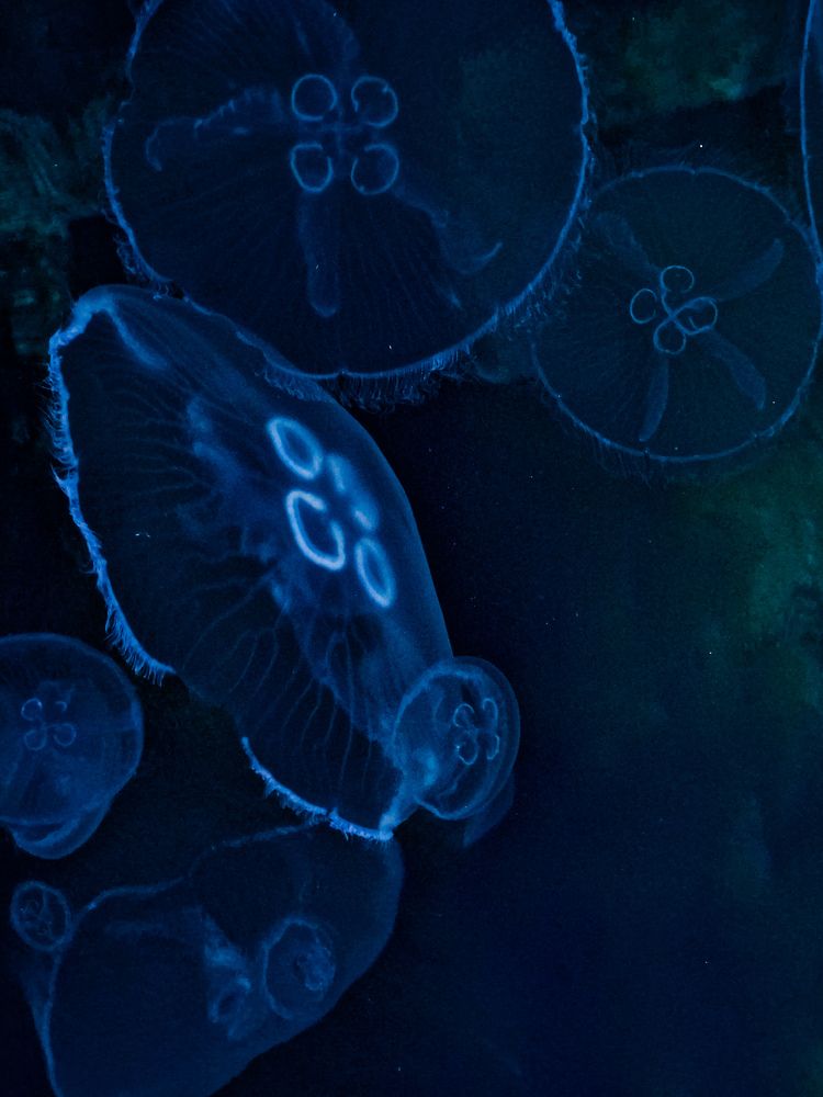 Photograph by Лариса Когтева