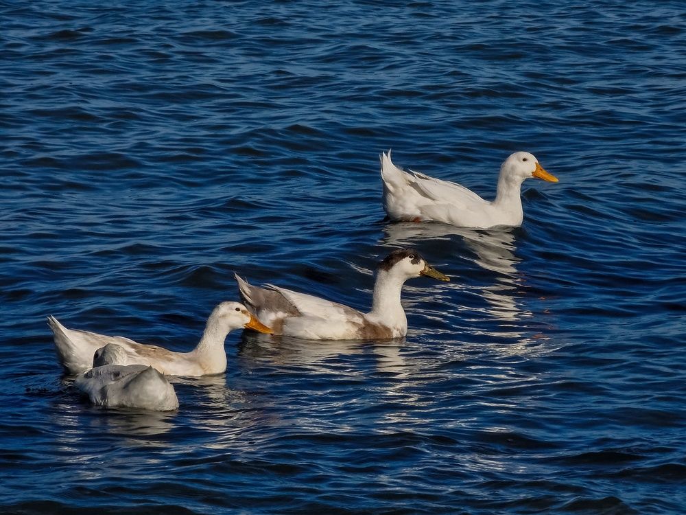 Photograph by Лариса Когтева