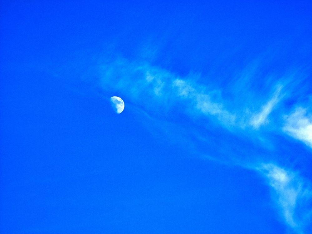 Photograph by Лариса Когтева