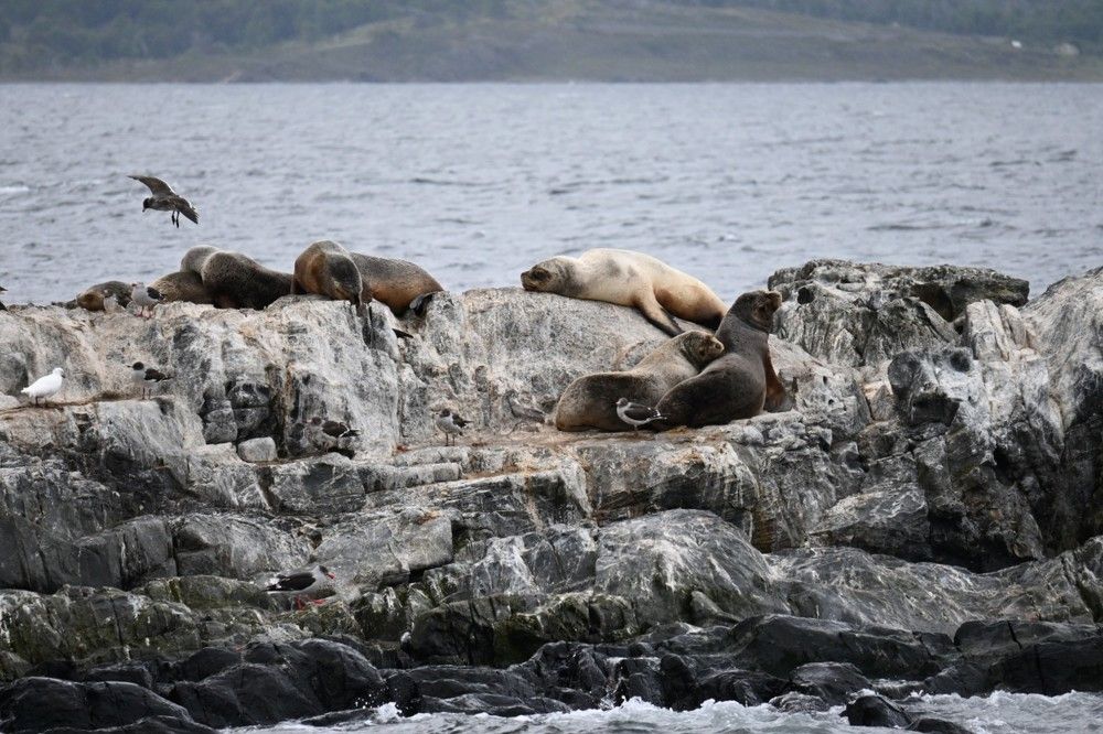 Photograph by Дарья Булавина