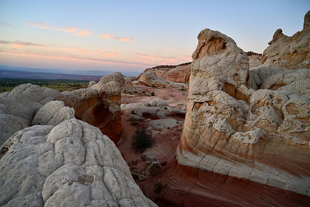 Nature plays and creates