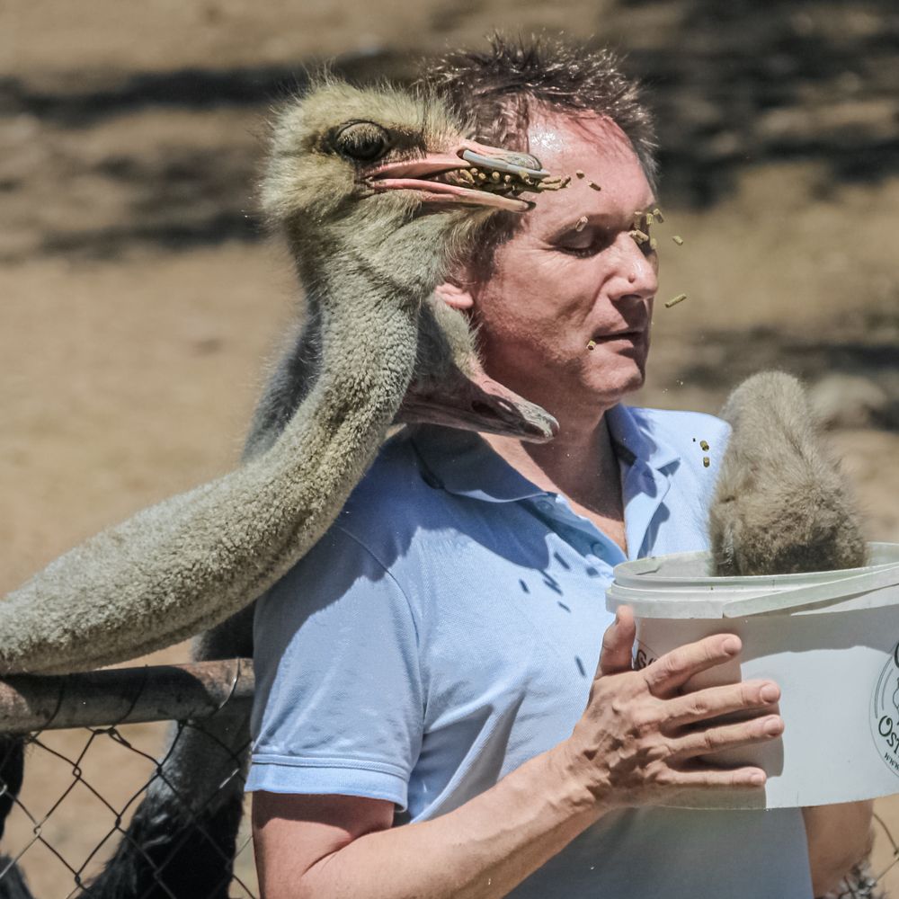 Photograph by Елена Захарова