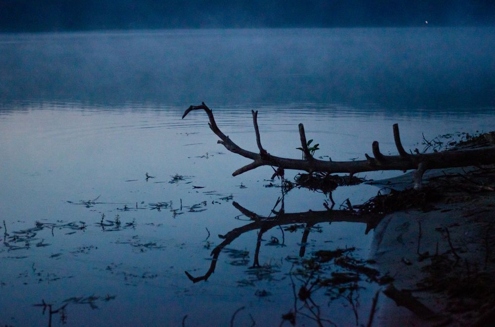 Фотография автора Евгения Кобеева