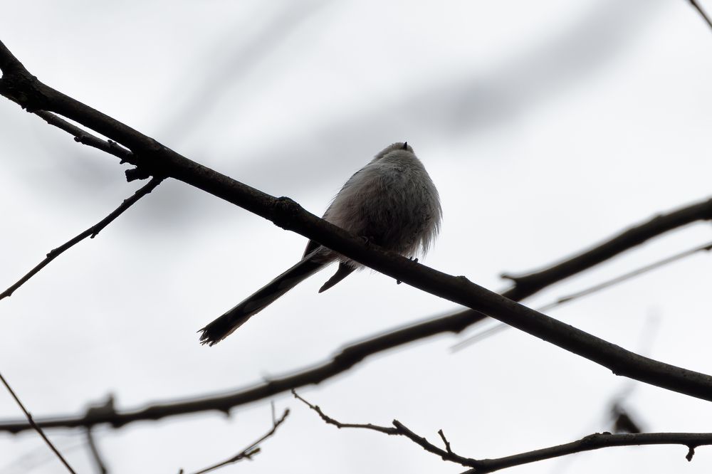 Photograph by Вера Машина