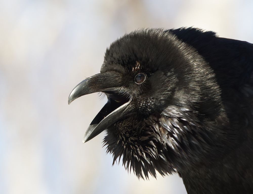 Photograph by Вера Машина