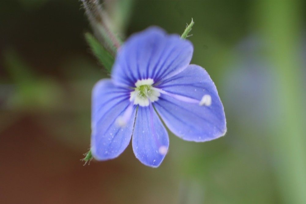 Photograph by Екатерина Хозяшева