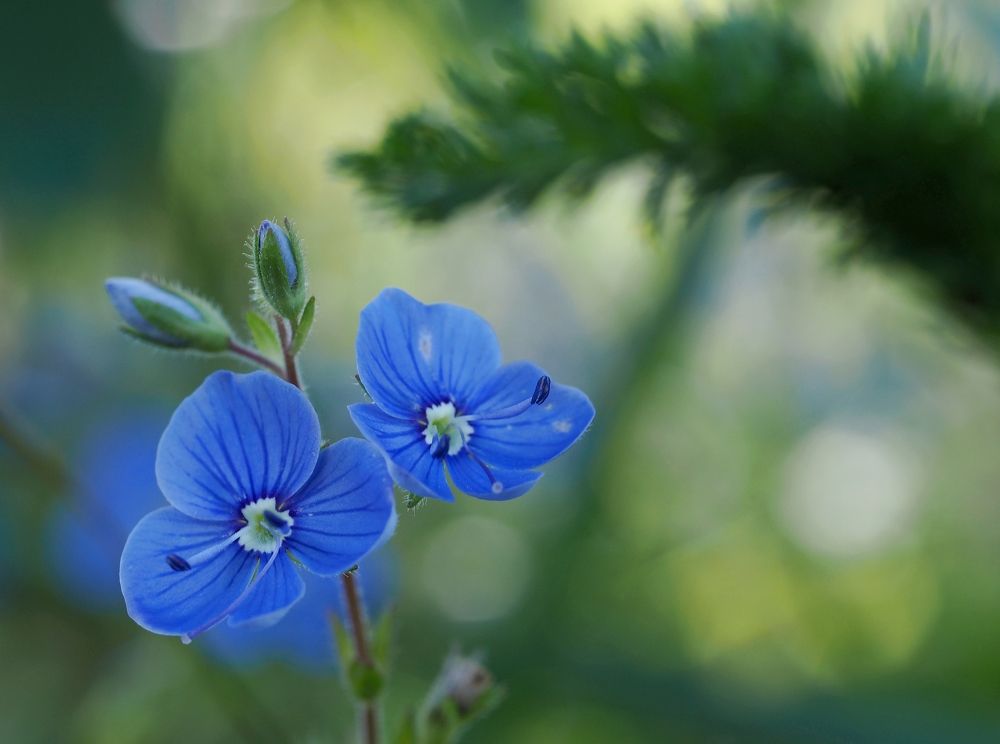 Photograph by Евгений Яковлев