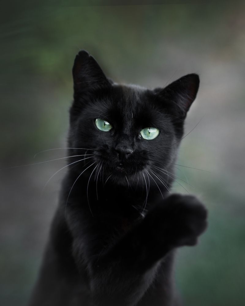 Photograph by Юлианна Митрофанова