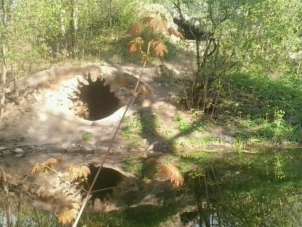 Фотография автора Алексей Власов