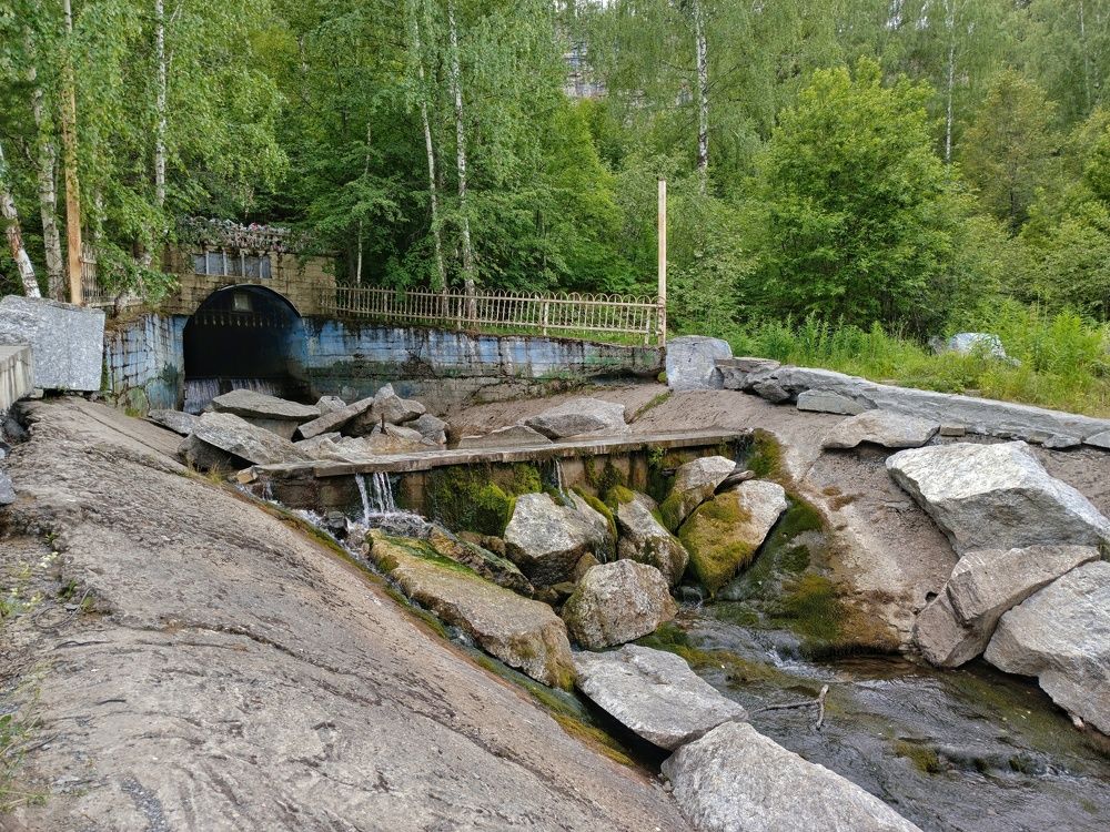 Photograph by Елена Напольских