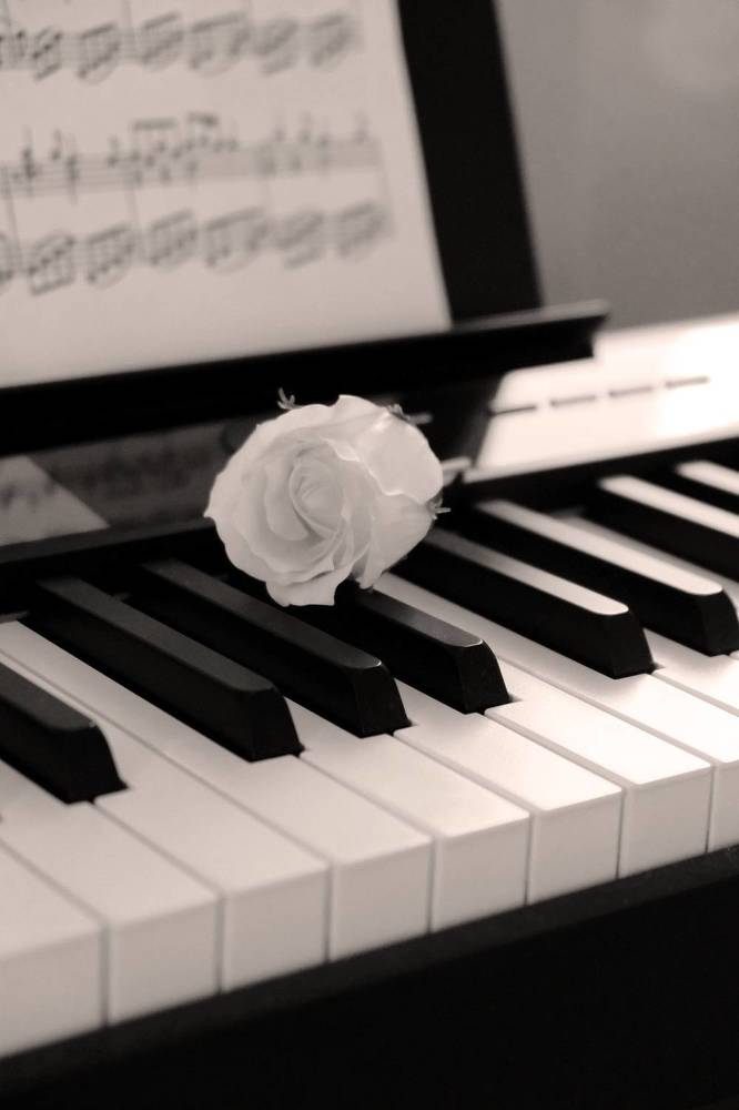 Photograph by Надежда Кангина