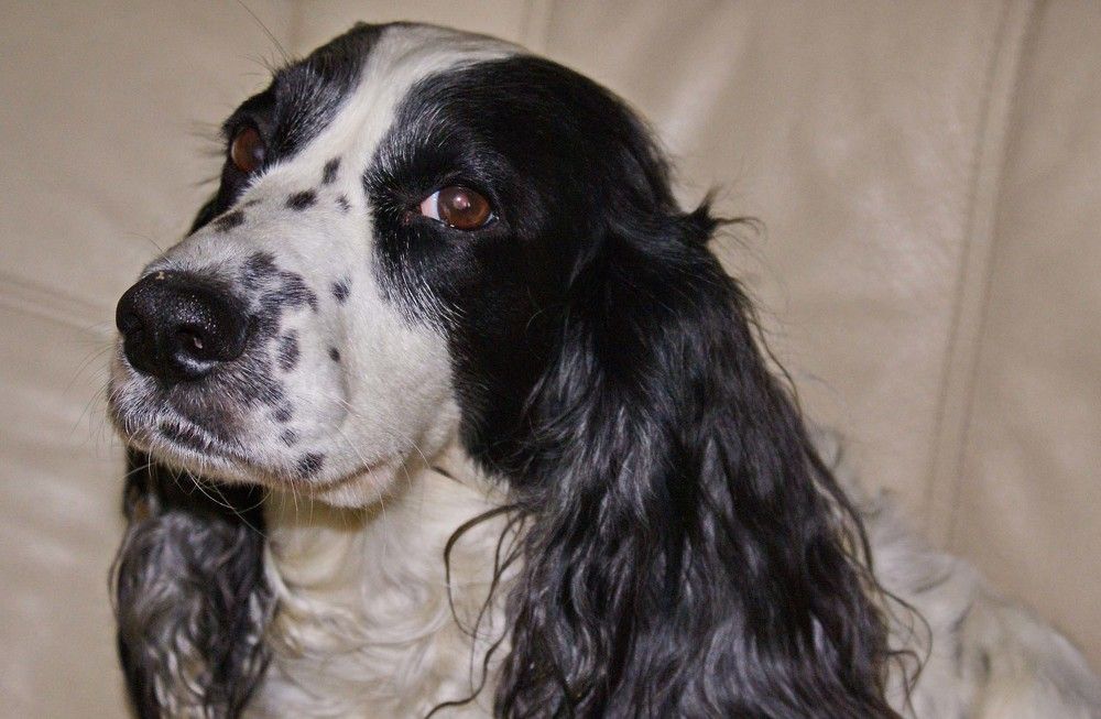 Photograph by Игорь Пшеничников