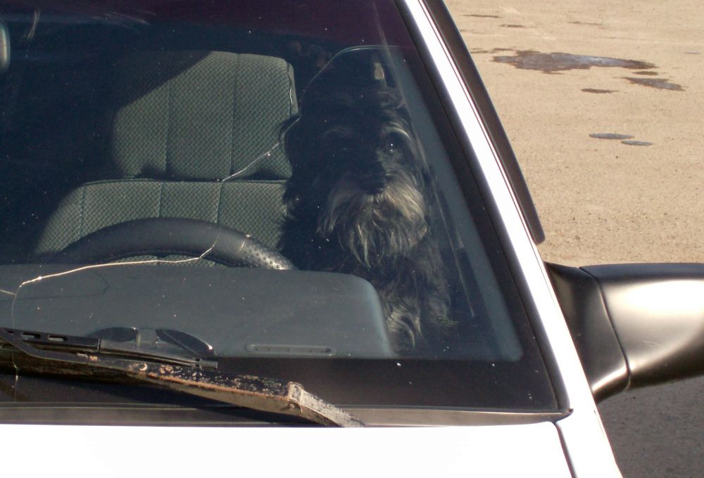 Photograph by Игорь Пшеничников