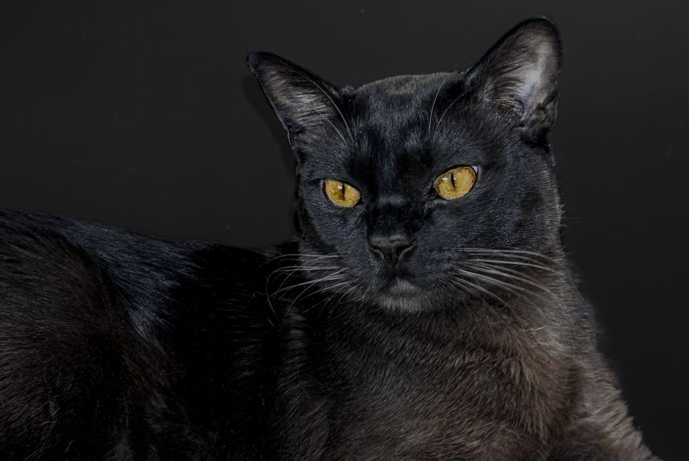 Photograph by Галина Суровицкая