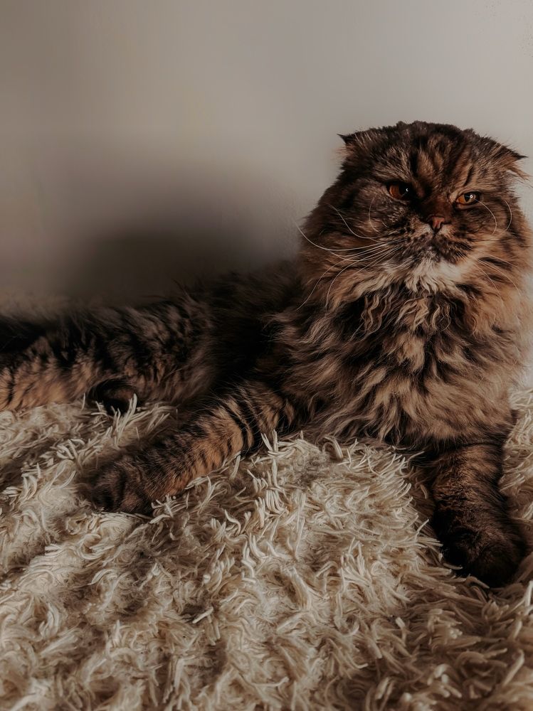 Photograph by Диана Есина