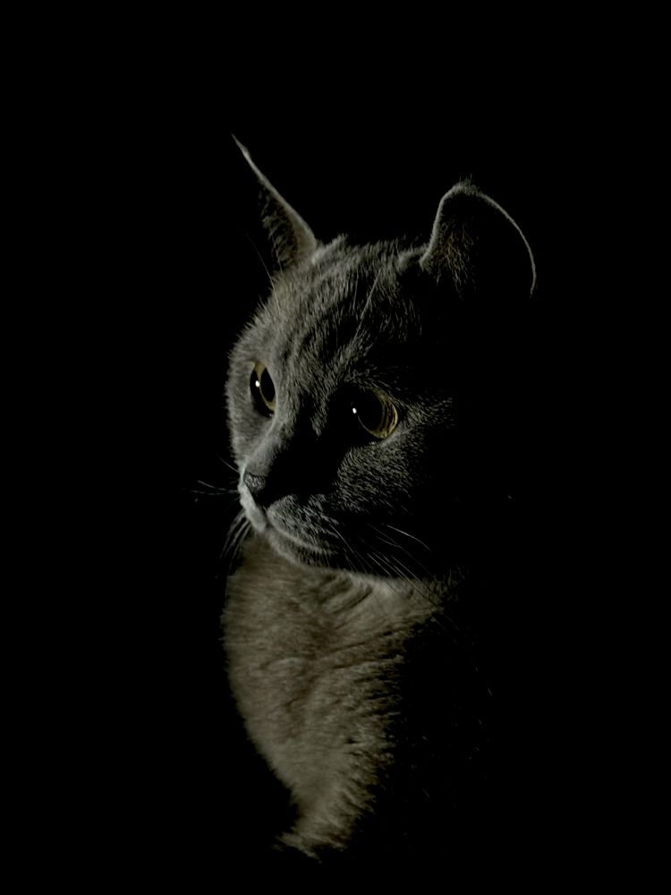 Photograph by Zhanna Kolesnikova