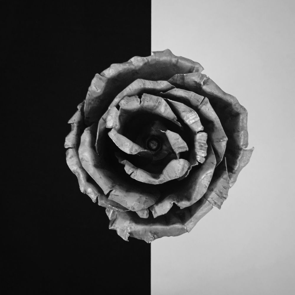 Photograph by Сергей Фоминичев