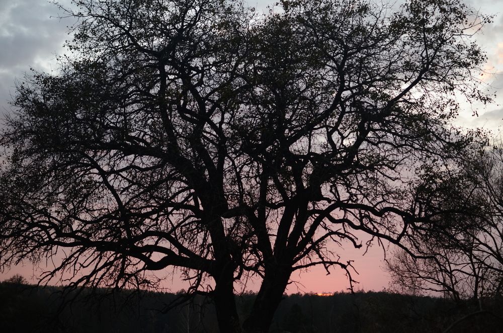 Фотография автора Ольга Беликова