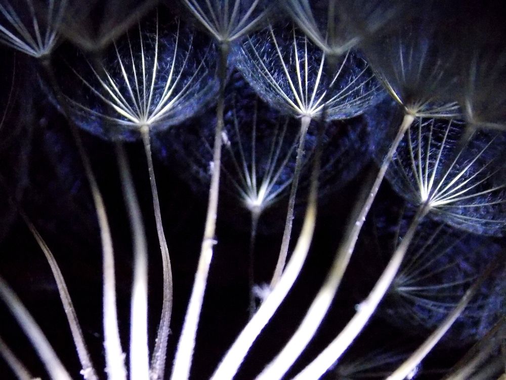 Photograph by Olja Simovic