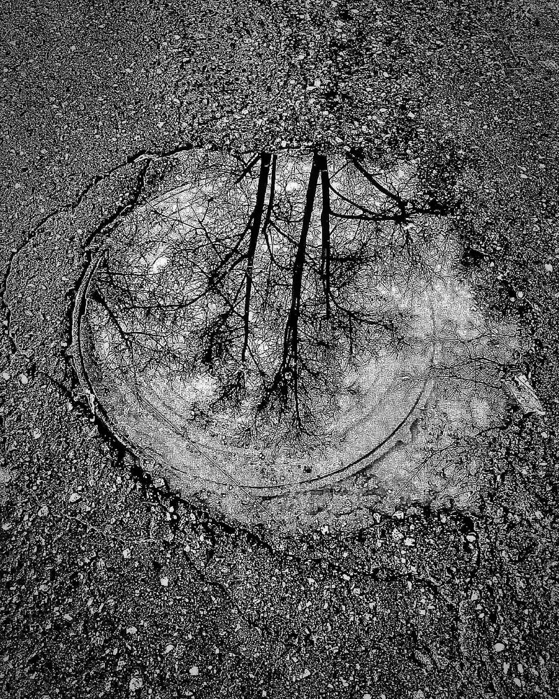 Созерцание