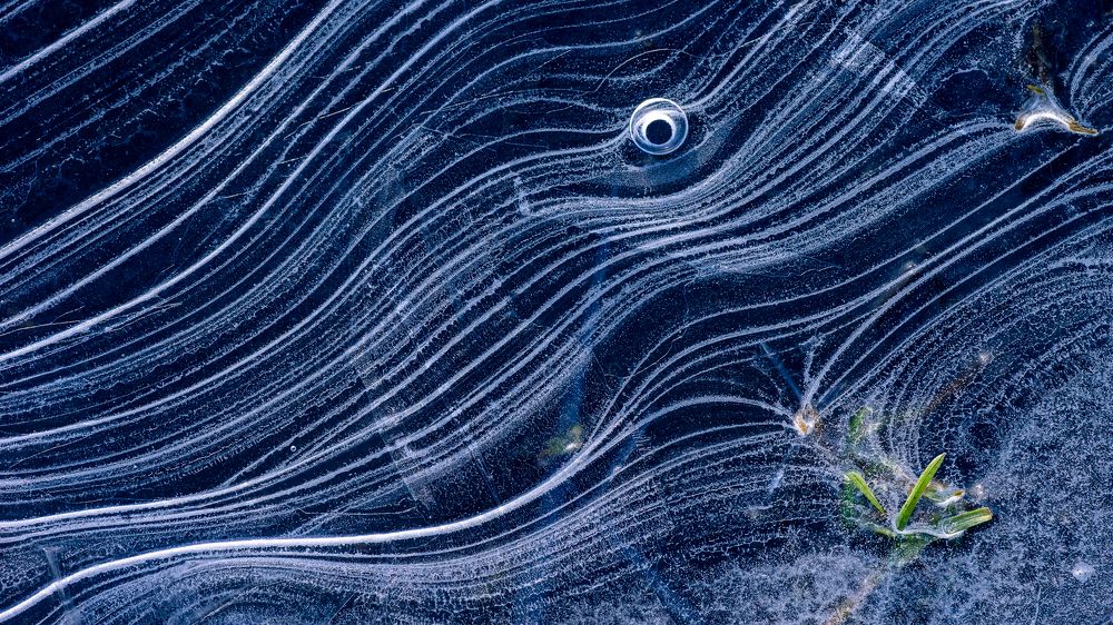 Photograph by Mark Devender