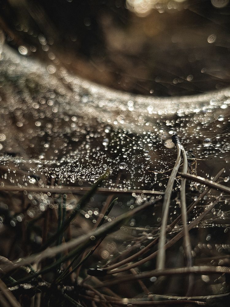 Photograph by Ольга