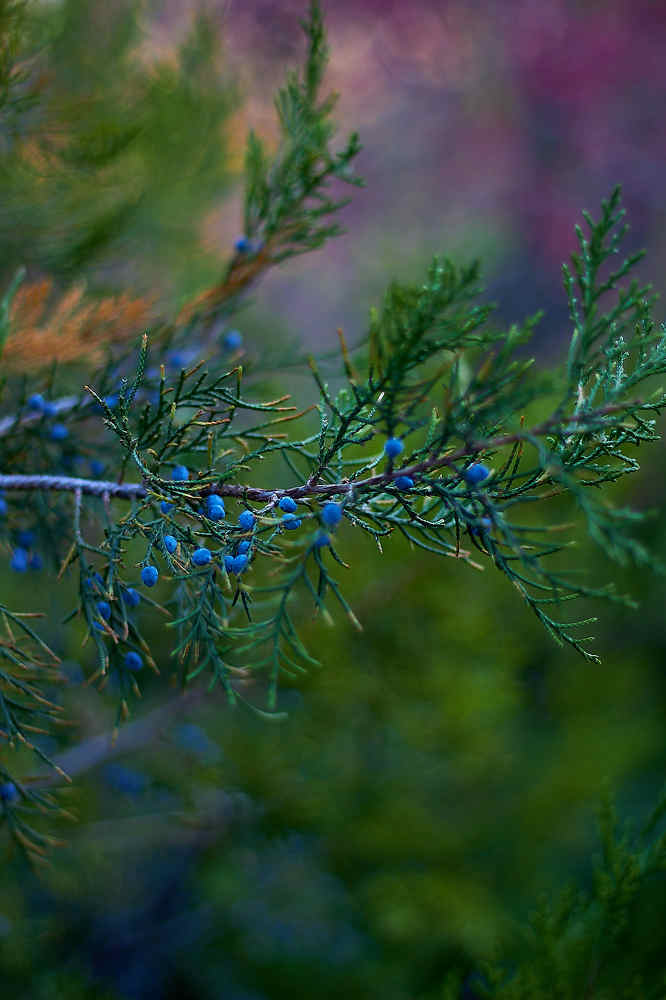 Photograph by Наталья Шевелева