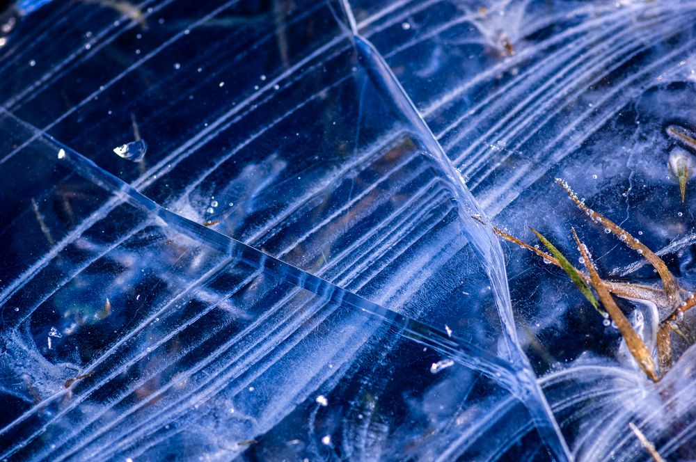 Photograph by Mark Devender