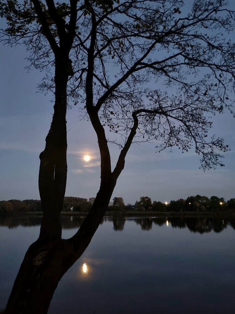 Photograph by Julia Kosenchuk