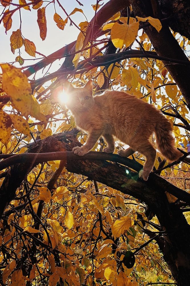 Photograph by Любовь Старовойтова