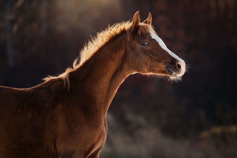 Photograph by Дарья Ералева