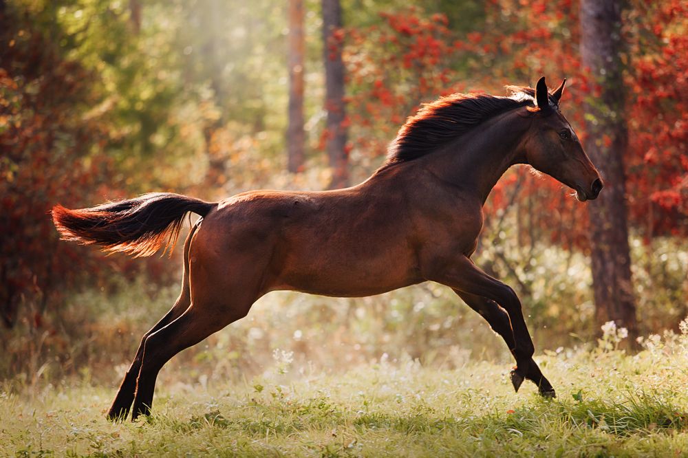 Photograph by Дарья Ералева