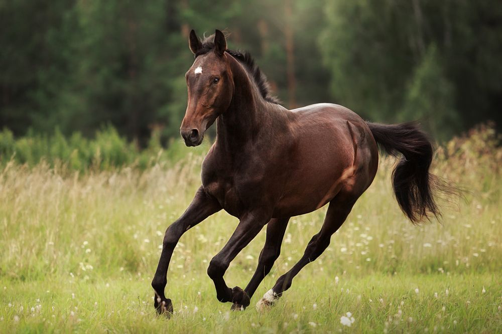 Photograph by Дарья Ералева