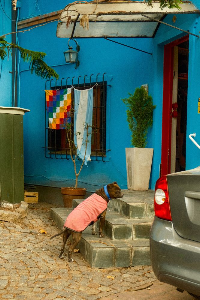 Photograph by Сергей Аверченко