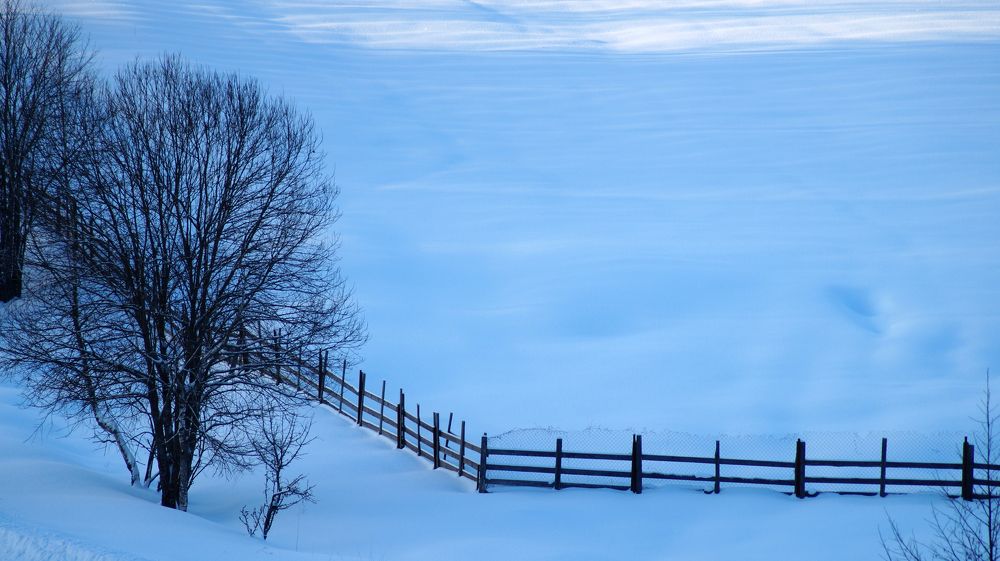 Photograph by Екатерина Молчанова