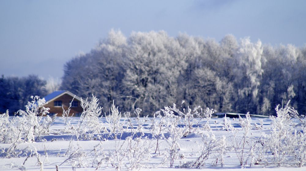 Photograph by Екатерина Молчанова