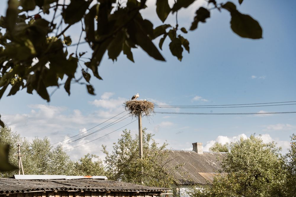 Photograph by Людмила