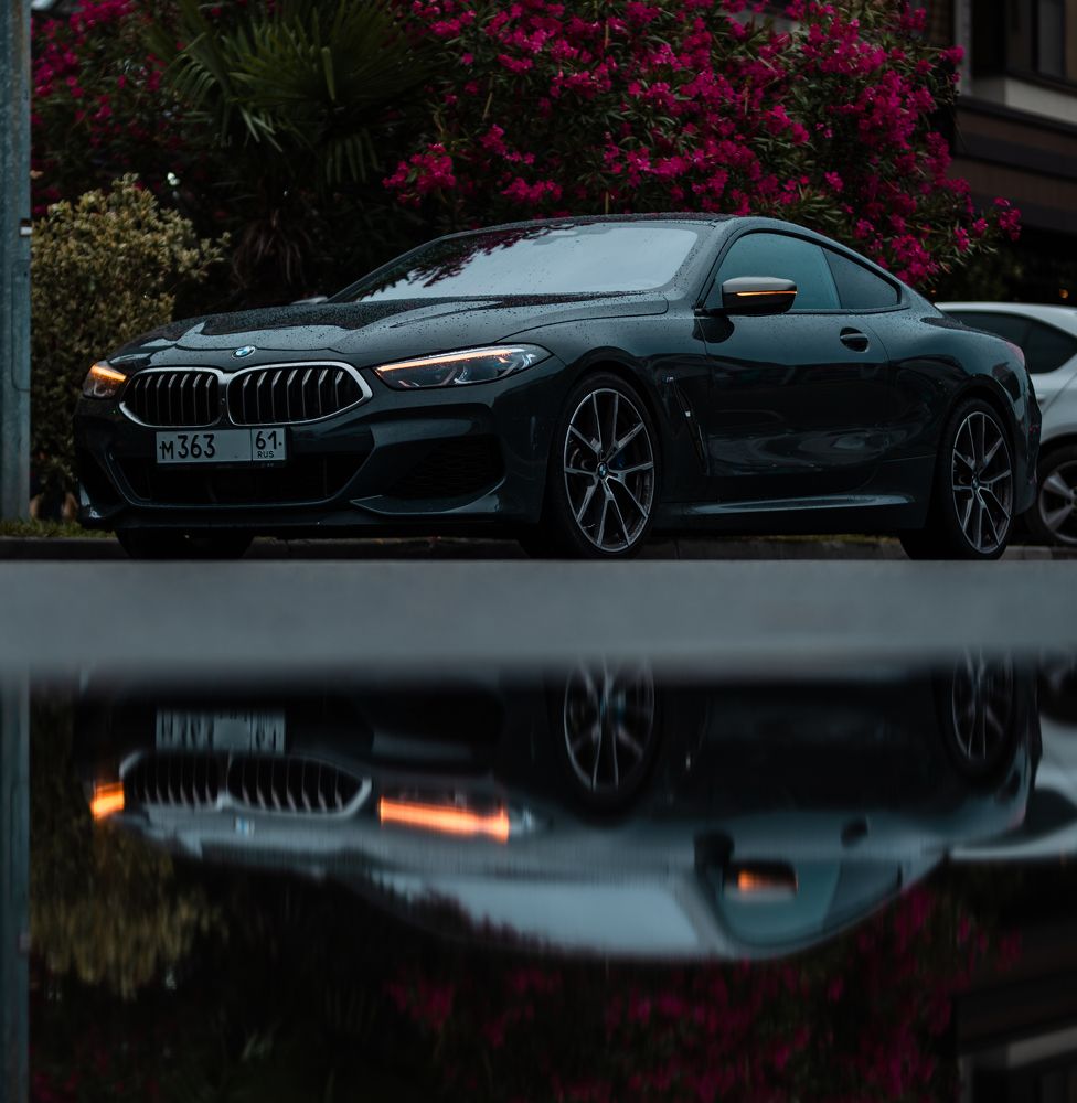 Photograph by Николай Роженцев