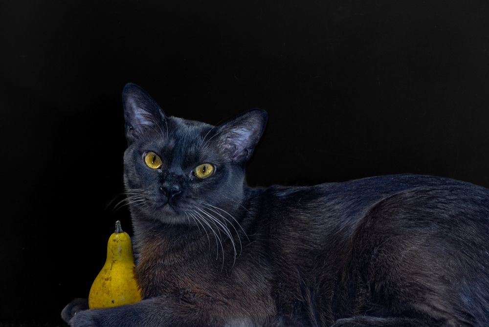 Photograph by Галина Суровицкая