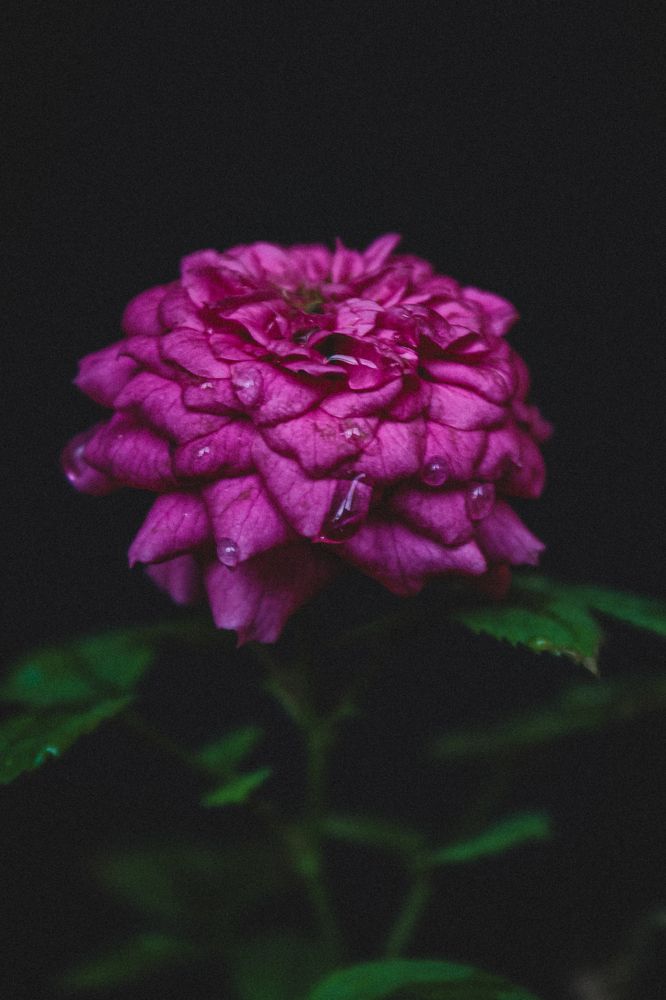 Photograph by Диана Козел