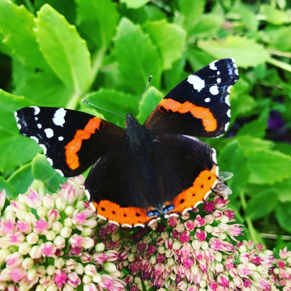 Photograph by Екатерина Супраненок