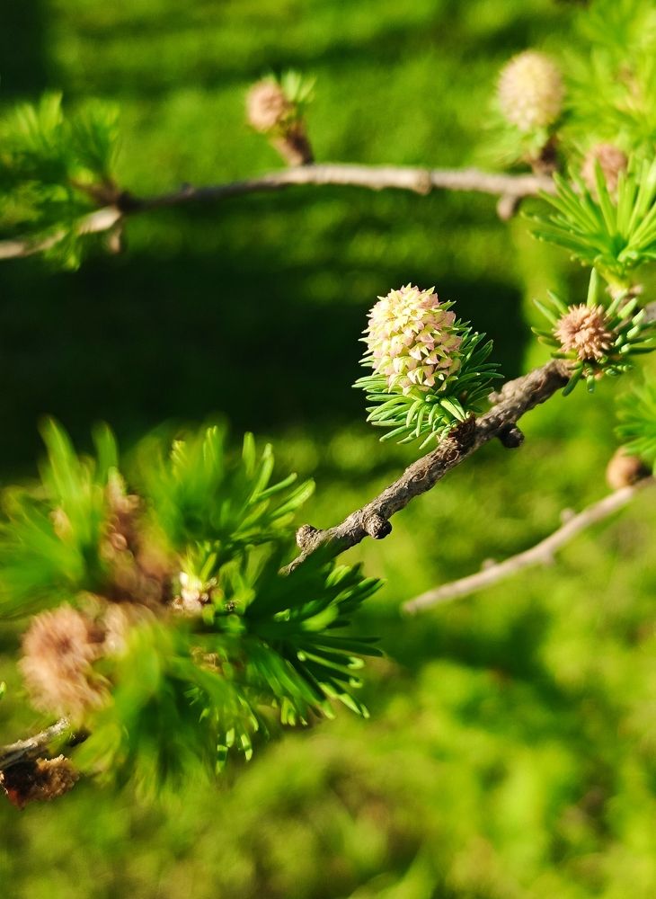 Photograph by Любовь Старовойтова