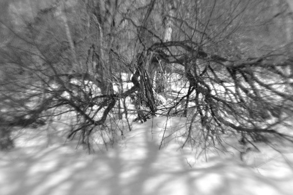 Photograph by Екатерина Молчанова