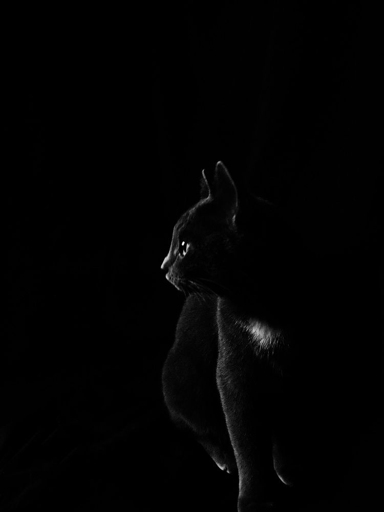 Photograph by Наталья Трапезникова