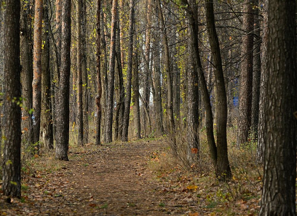 Photograph by Matarykin Alexey