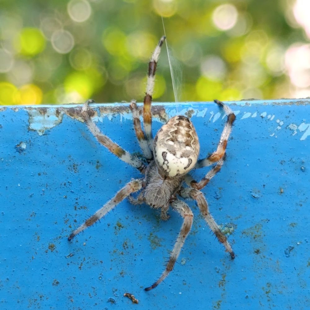 Photograph by Екатерина Супраненок