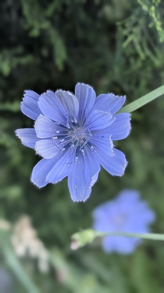 Photograph by Lilit Petrosyan