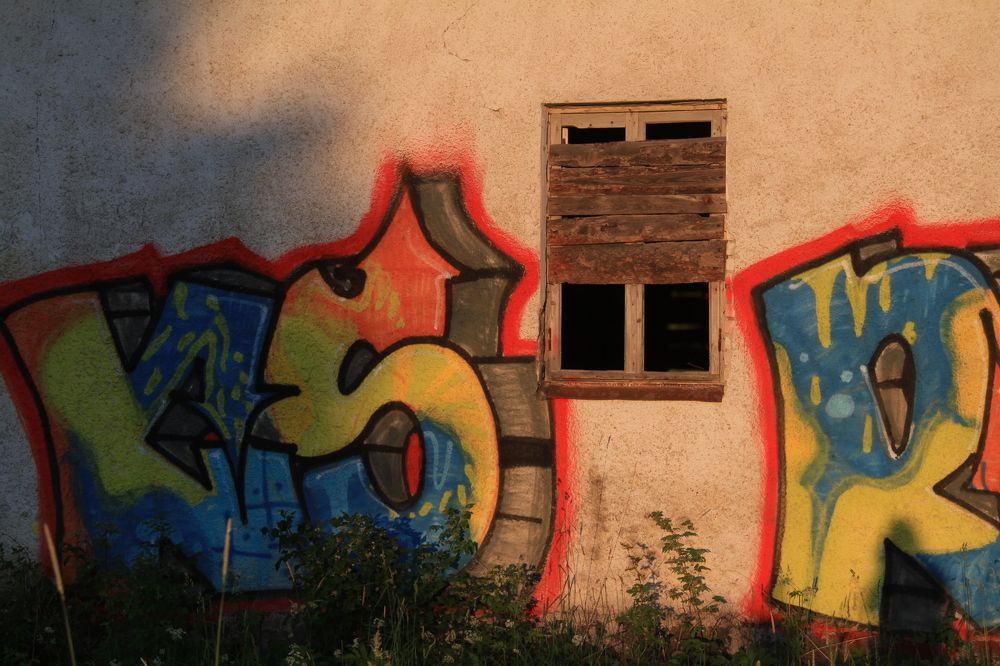 Фотография автора Анастасия Зверева