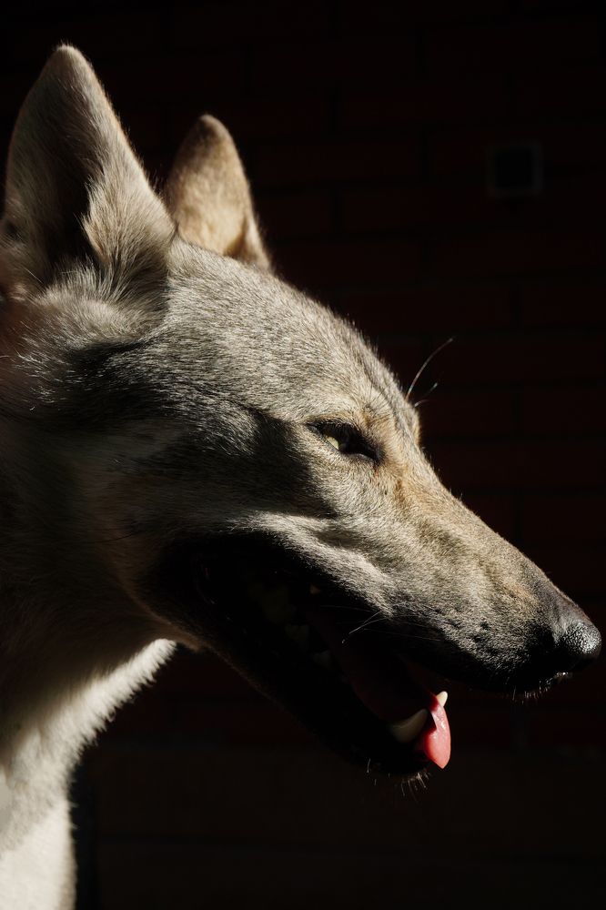 Photograph by Грибова Наталья