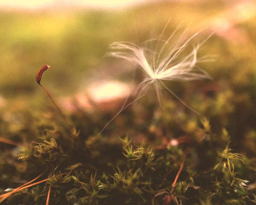 Фотография автора Aliaksandr Kazhdan